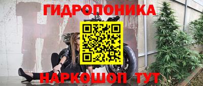 индика Бузулук