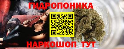 индика Бузулук